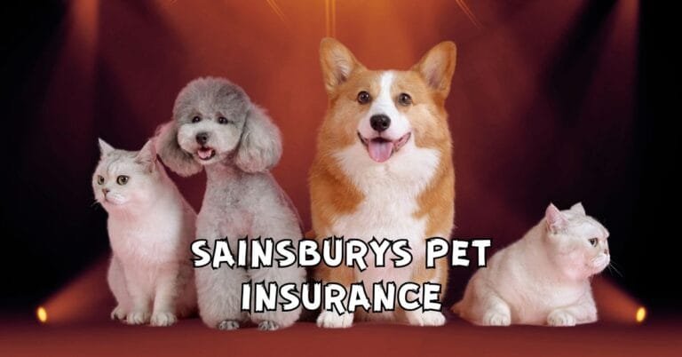 Sainsburys Pet Insurance: Comprehensive Coverage for Your Beloved Pets sainsburys pet insurance